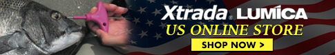 Xtrada LUMICA US Online Store